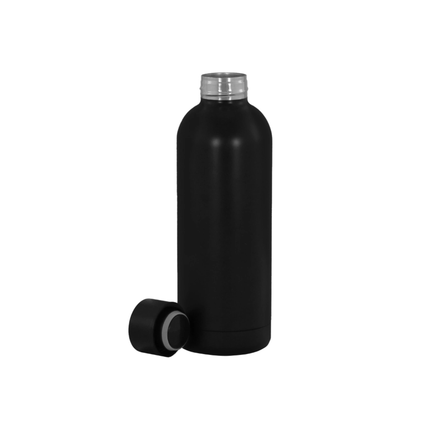 Stainless Steel Bottle